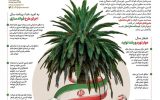 مدیرعامل شرکت فولاد اکسین خوزستان:طرح فولاد سازی فولاد اکسین اجرایی می‌شود